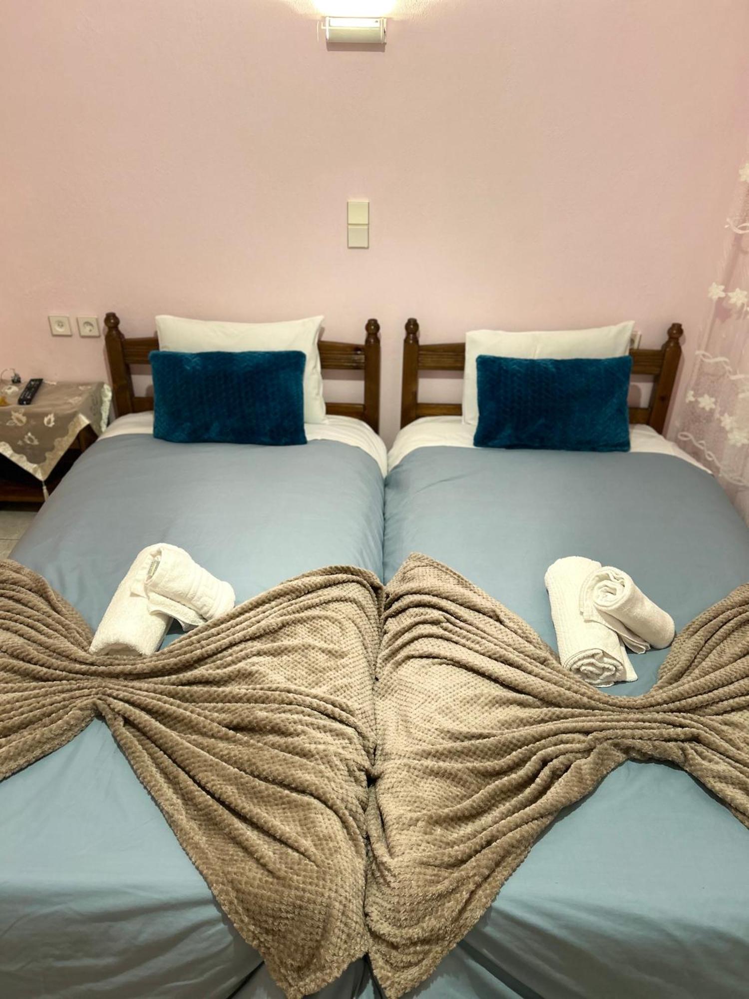 Karpouzis Guesthouse Víkos Zewnętrze zdjęcie